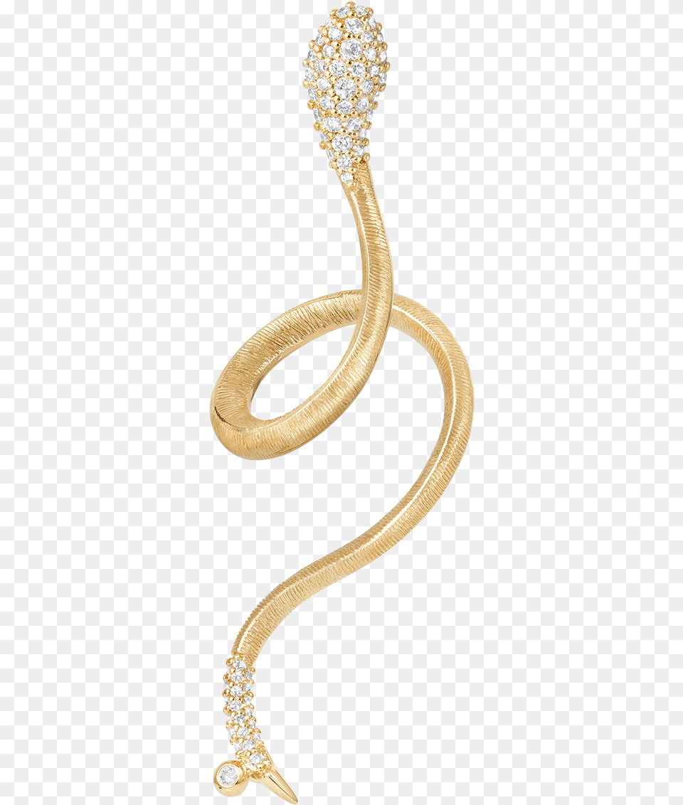 Indian Cobra, Accessories, Earring, Jewelry, Diamond Png Image