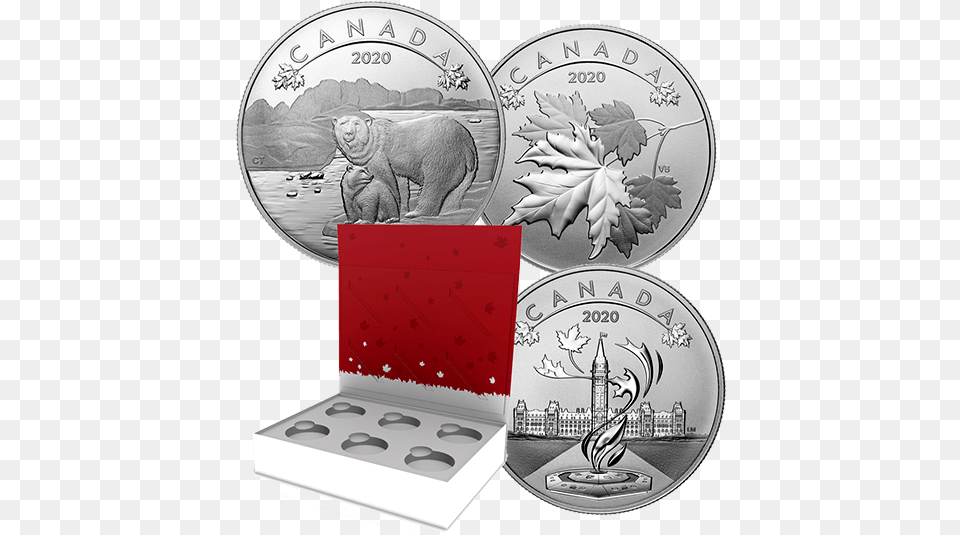 Indian Coins, Animal, Bear, Mammal, Silver Free Png