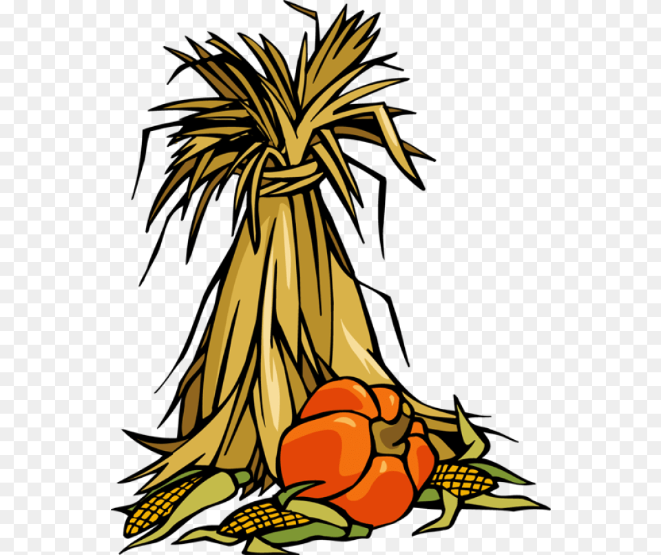 Indian Corn Clipart, Rural, Outdoors, Nature, Harvest Png