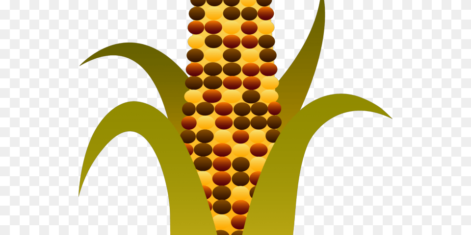 Indian Corn Clipart World Wide Clip Art Website Fall Indian Corn Clip Art, Food, Grain, Plant, Produce Free Transparent Png