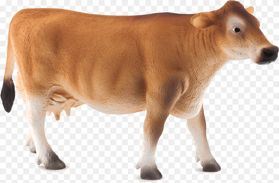 Indian Cow Images Jarsi Cow Free Png Download