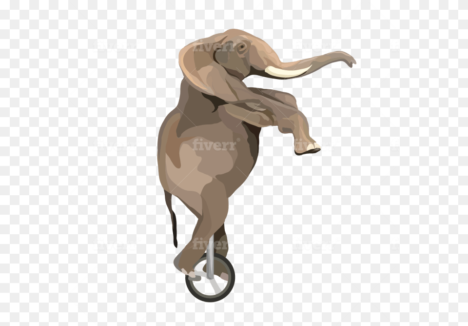Indian Elephant, Adult, Female, Person, Woman Free Transparent Png
