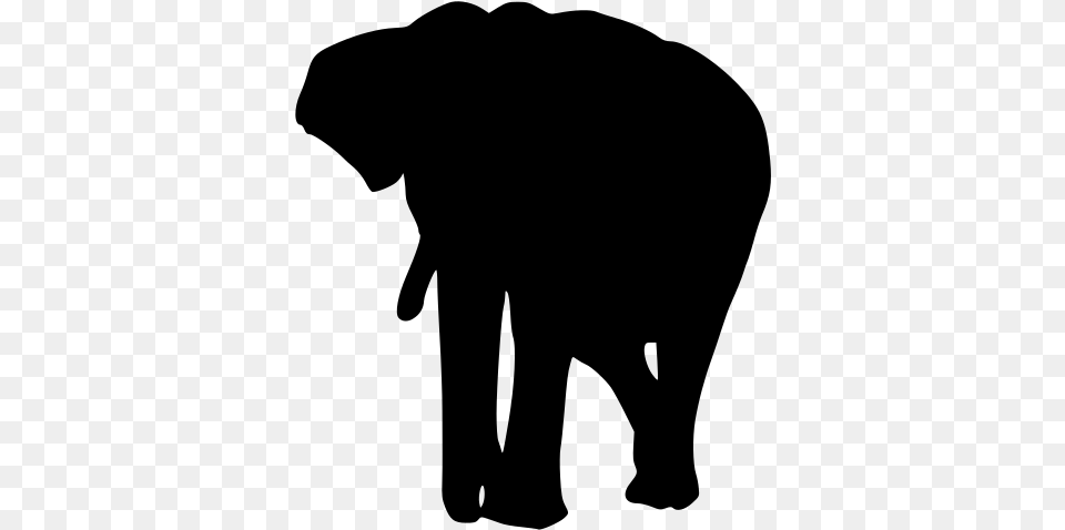 Indian Elephant, Gray Free Png Download
