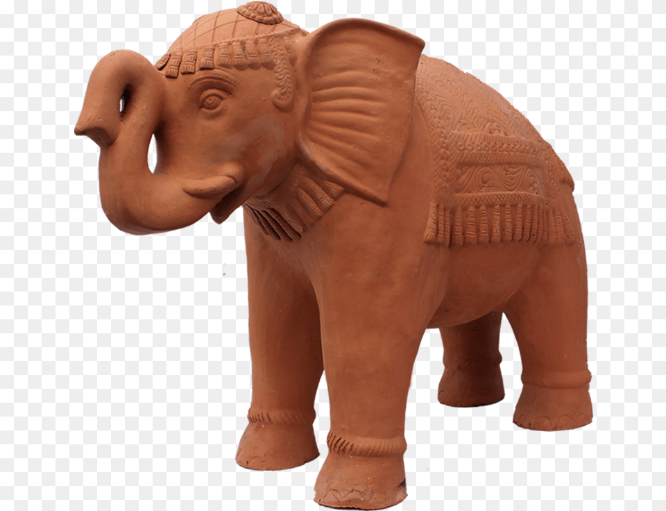 Indian Elephant, Baby, Face, Head, Person Png Image