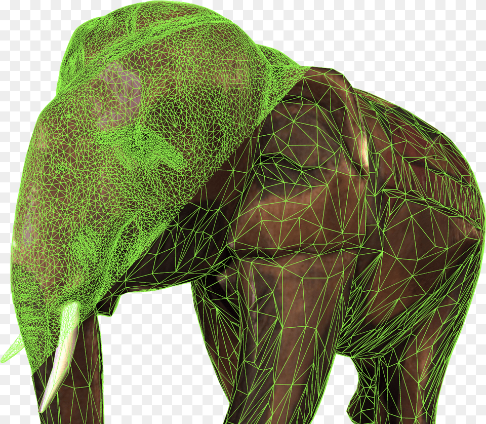 Indian Elephant, Animal, Mammal, Wildlife, Plant Png Image