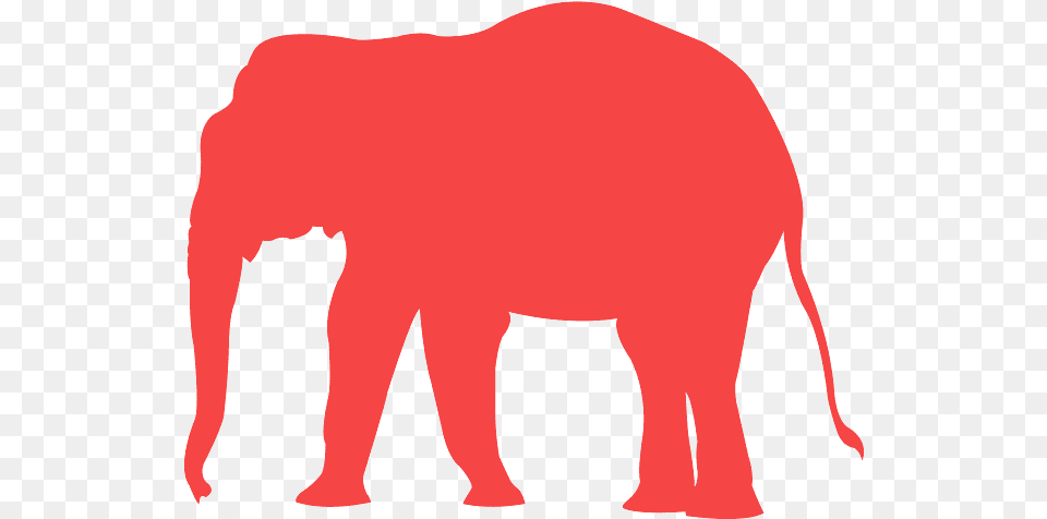 Indian Elephant, Animal, Mammal, Wildlife, Bear Free Png Download