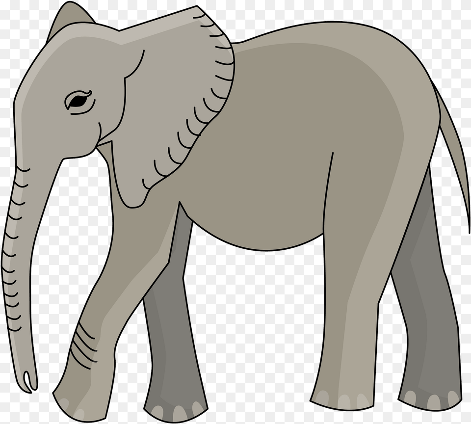 Indian Elephant, Animal, Mammal, Wildlife, Person Png Image