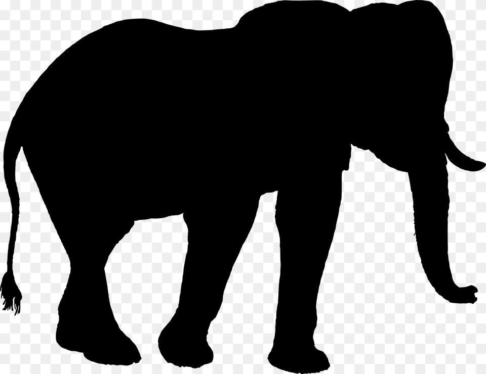 Indian Elephant African Elephant Silhouette Clip Art Elephant, Gray Png Image