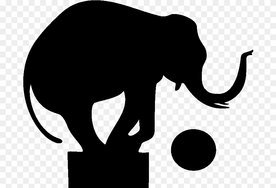 Indian Elephant African Elephant Wildlife Silhouette Silhouettes Of Circus Animals, Gray Png Image