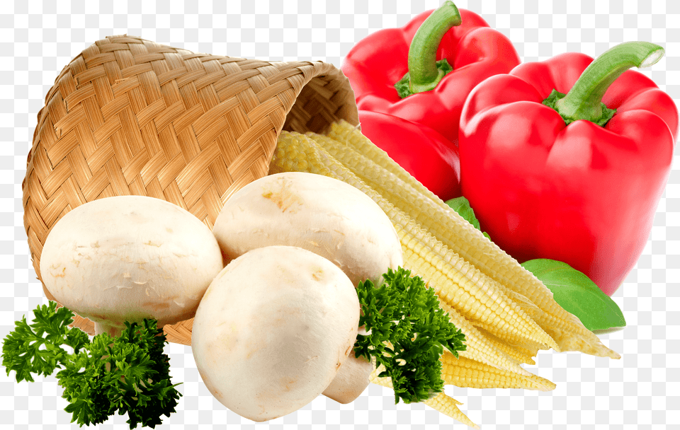 Indian Farmer Png Image