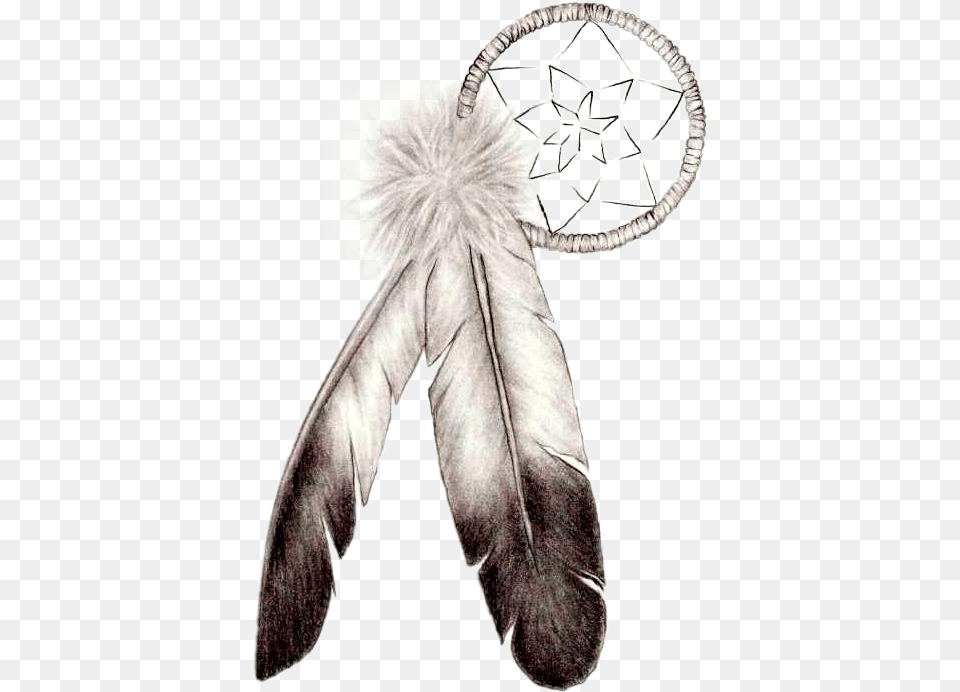 Indian Feather, Art, Drawing, Adult, Male Free Png Download