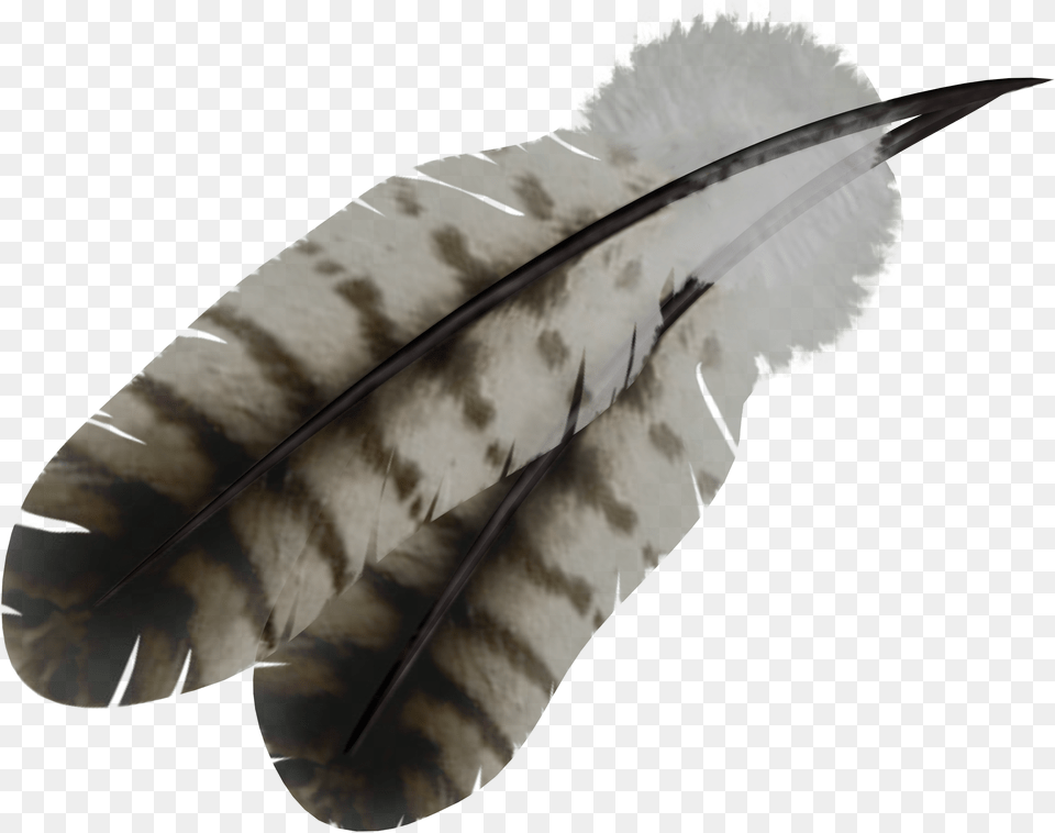 Indian Feather Transparent Background Feathers, Bottle, Bow, Weapon, Ink Bottle Free Png Download