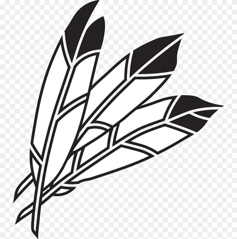 Indian Feathers Indian Feathers Clipart, Leaf, Plant, Herbal, Herbs Png