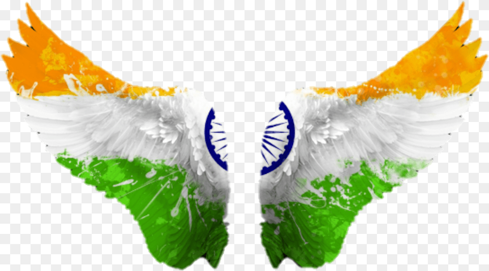 Indian Flag Bird, Animal Free Png Download