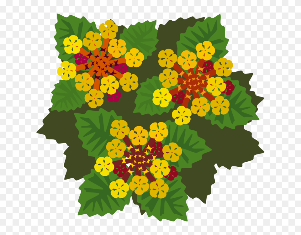 Indian Flower Clip Art, Floral Design, Graphics, Leaf, Pattern Free Transparent Png