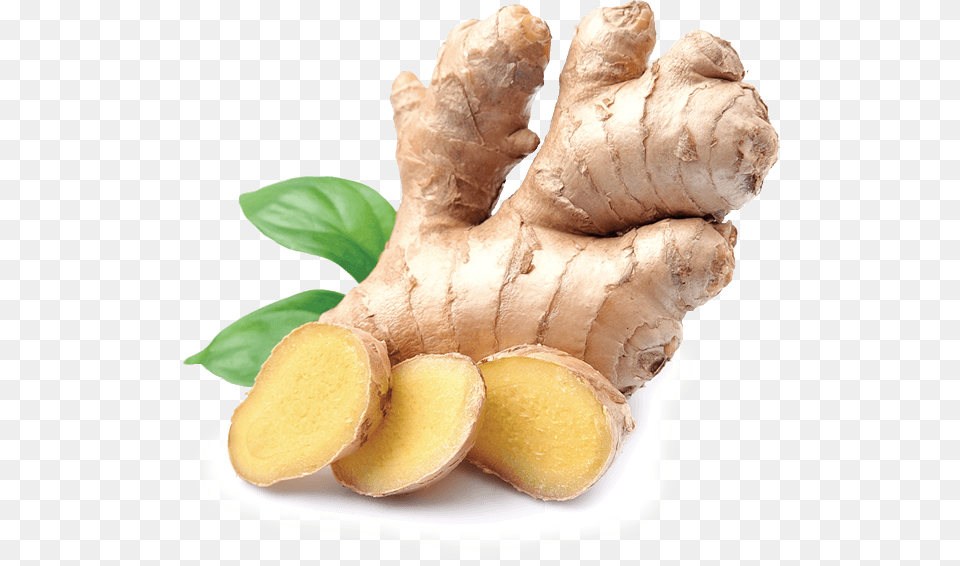 Indian Ginger, Food, Plant, Spice Free Transparent Png