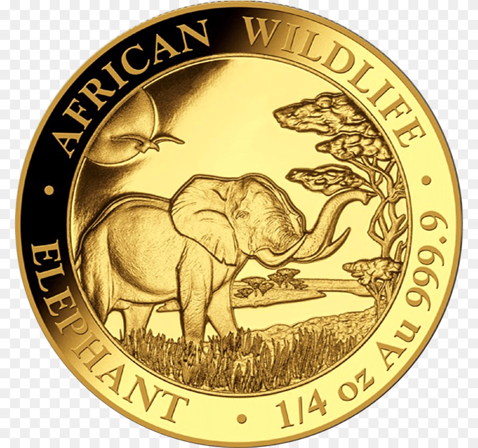 Indian Gold Coin, Animal, Elephant, Mammal, Wildlife Free Transparent Png
