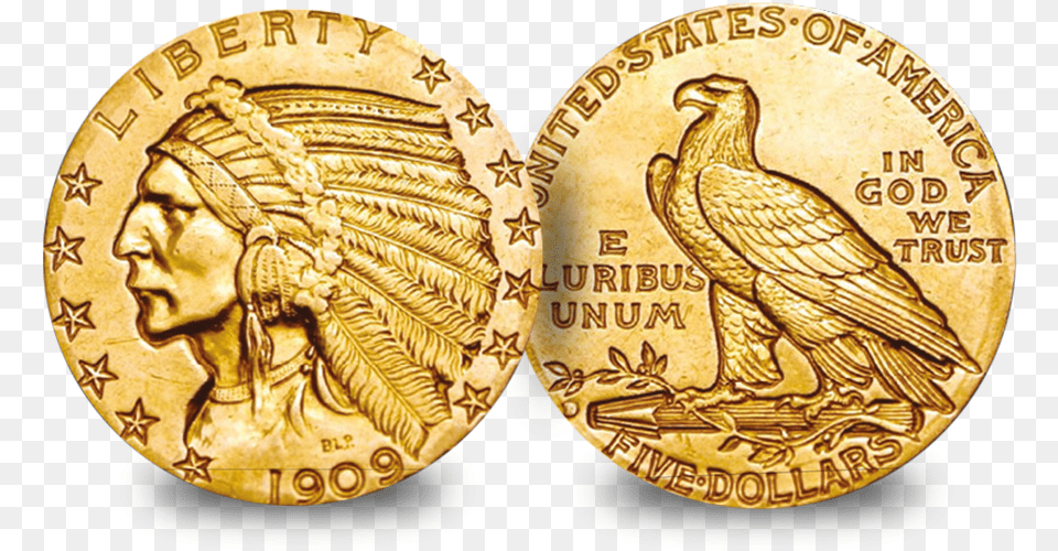 Indian Head Gold Dollar Coin 1910 Indian Head Gold, Animal, Bird, Person, Face Free Transparent Png