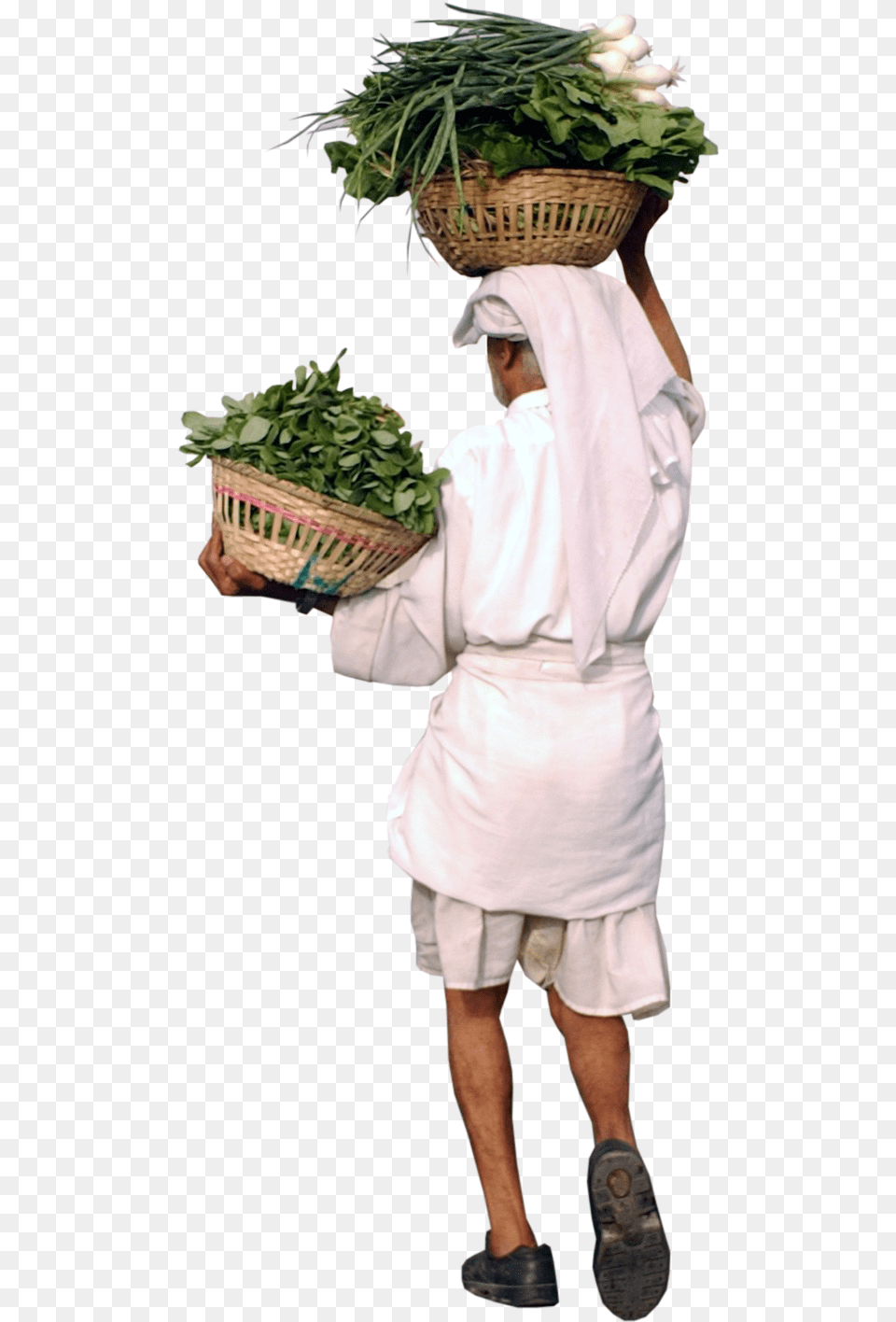 Indian Human Figures, Herbs, Plant, Leaf, Herbal Free Png Download