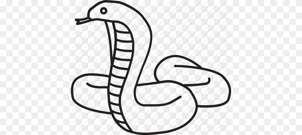 Indian King King Cobra Reptile Serpent Snake Venom Icon, Animal, Gate Free Png