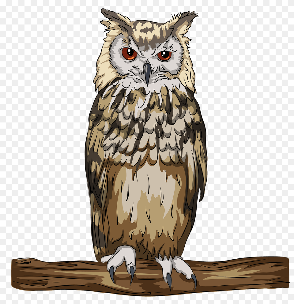 Indian Or Bengal Eagle Owl Clipart, Animal, Bird Free Png
