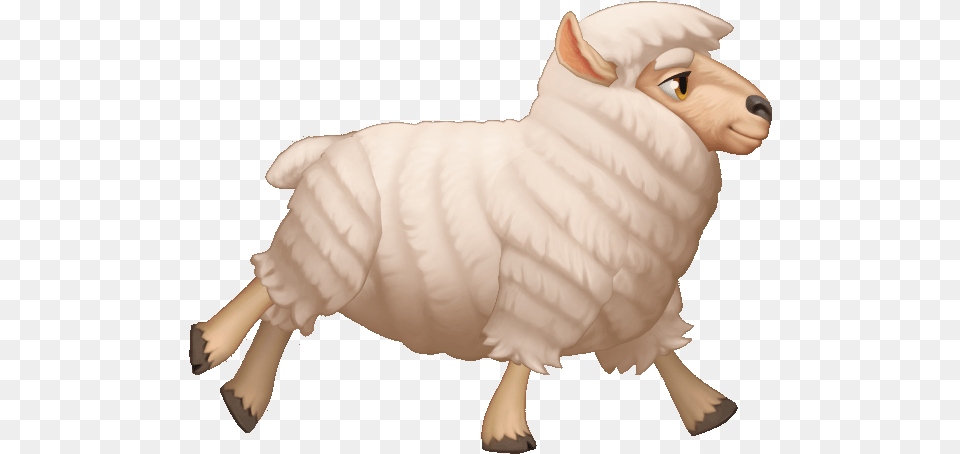 Indian Sheep, Livestock, Baby, Person, Animal Png Image