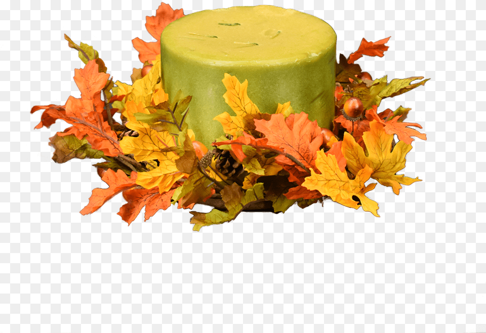 Indian Summer Oak Macaroon, Leaf, Maple, Plant, Tree Png