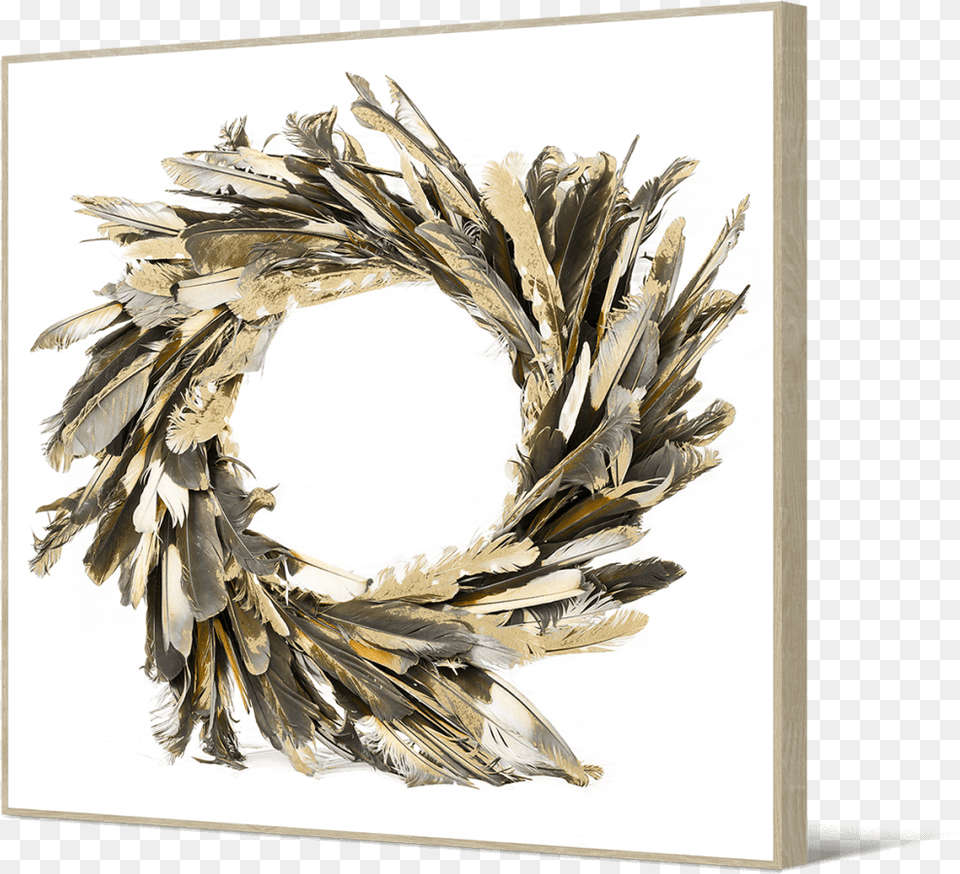 Indian39 Circle Of Feathers Circle Feather Wall Art, Animal, Bird, Wreath Free Png Download