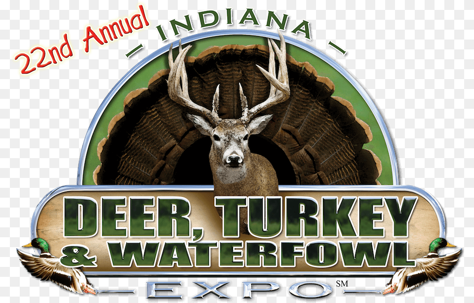 Indiana Deer Amp Turkey Logo 2019 Indiana, Animal, Mammal, Wildlife, Antler Png