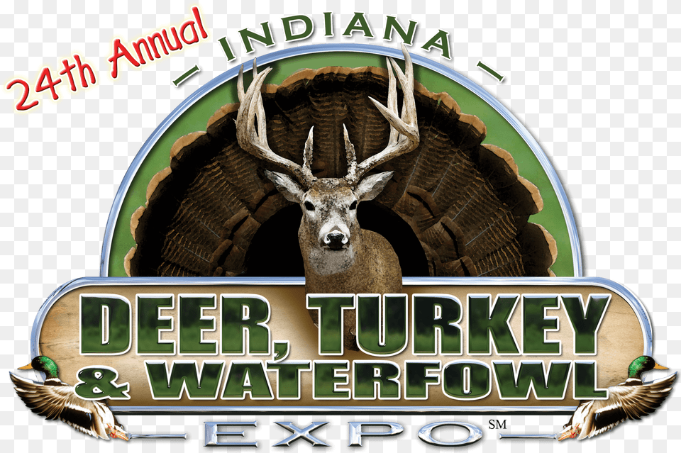 Indiana Deer Turkey Waterfowl Expo Elk, Animal, Mammal, Wildlife, Antler Free Transparent Png