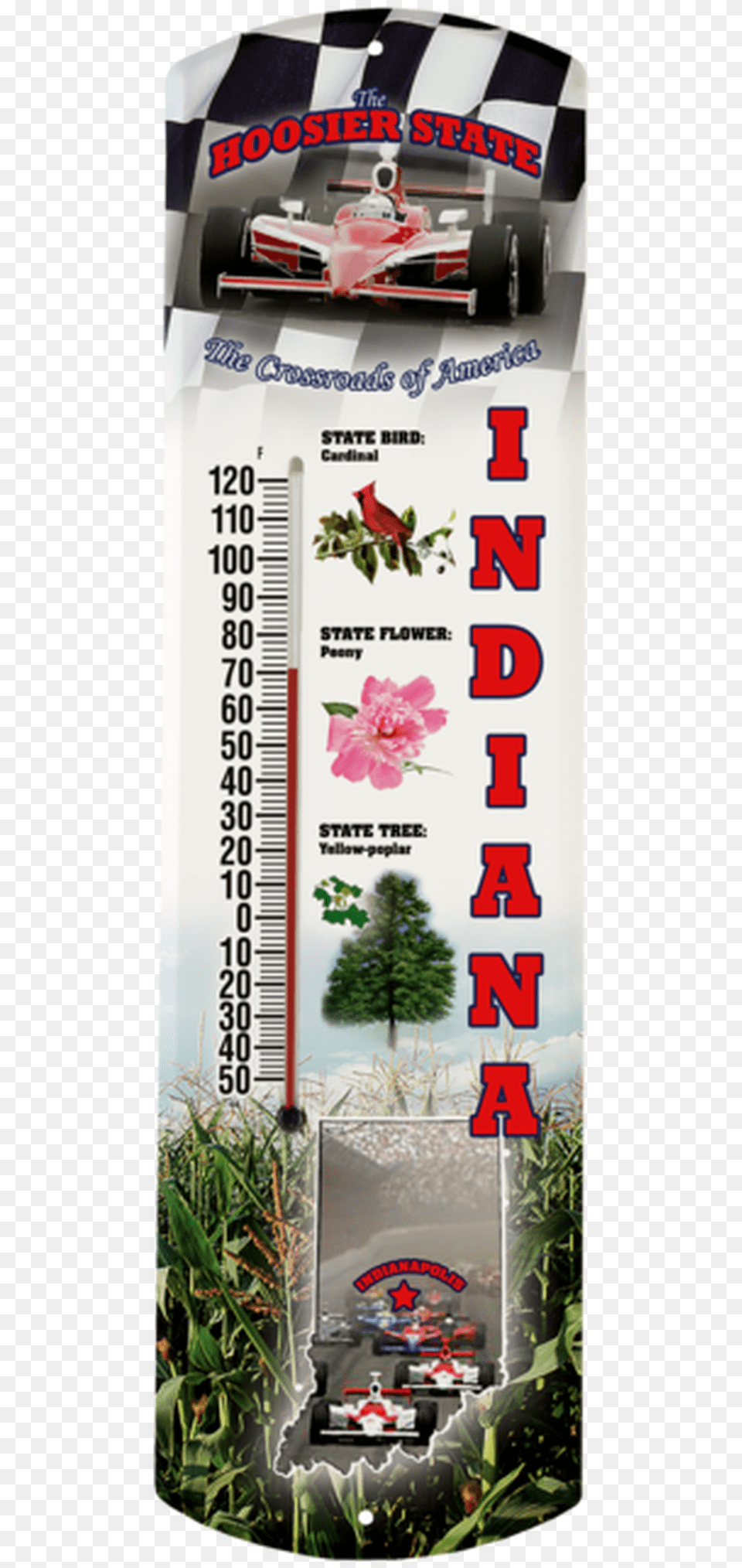 Indiana State Shortleaf Black Spruce, Advertisement, Poster, Wheel, Machine Png Image