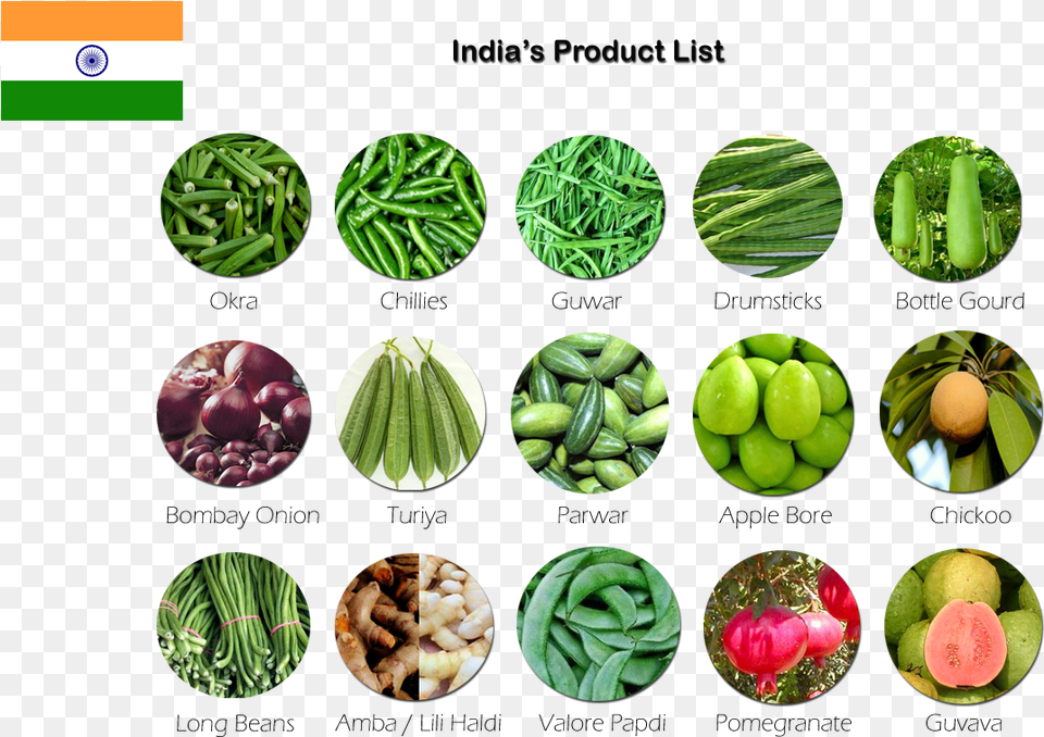 Indias Substitutional Alloy Copper And Zinc, Plant, Food, Produce, Green Png Image