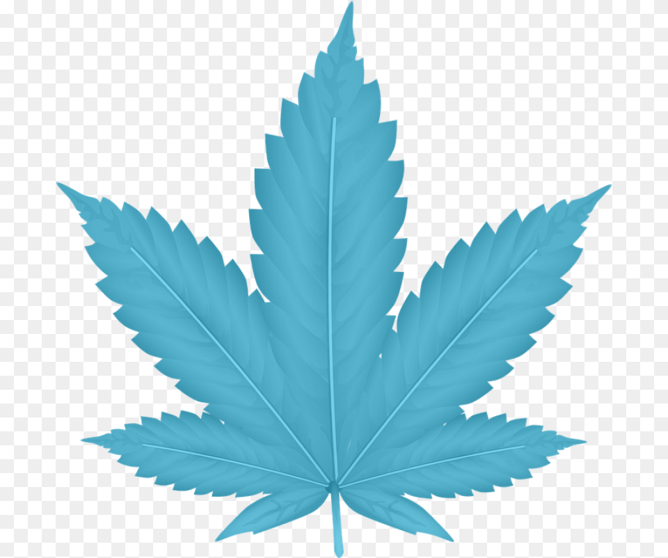 Indica Weed Clipart, Leaf, Plant Png Image