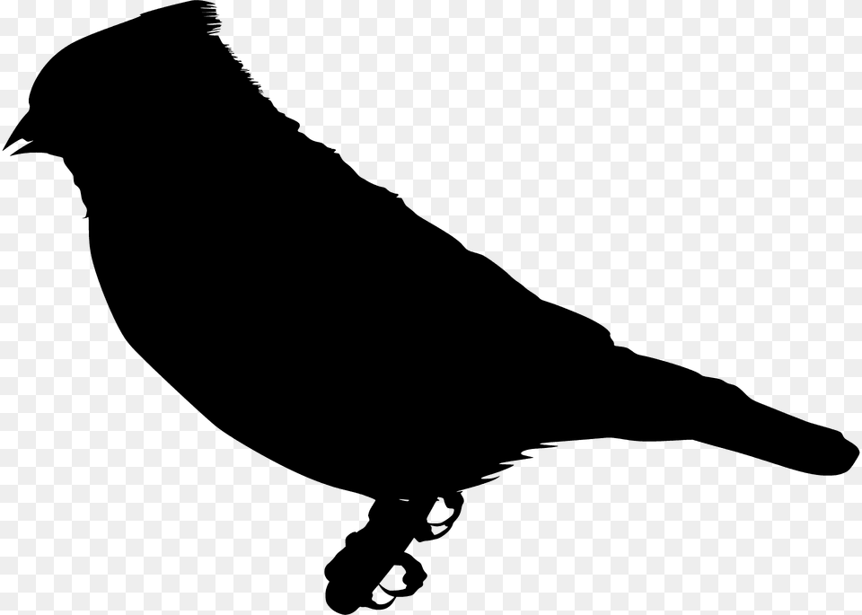 Indiopishgo Cajamarca Silhouette, Animal, Bird, Blackbird, Person Png