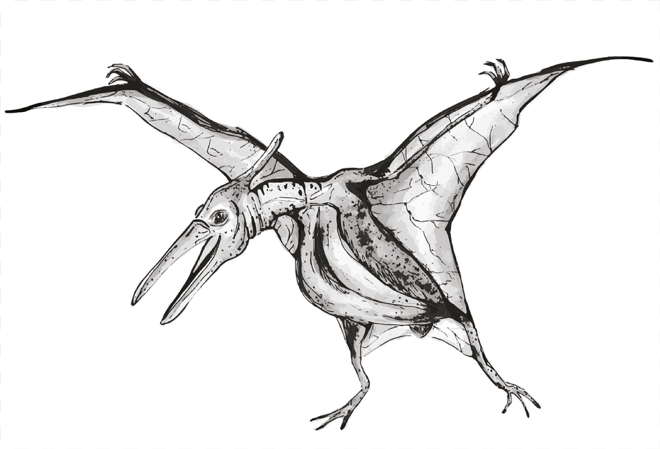 Indominus Rex Sketch, Art, Drawing, Animal, Bird Free Transparent Png
