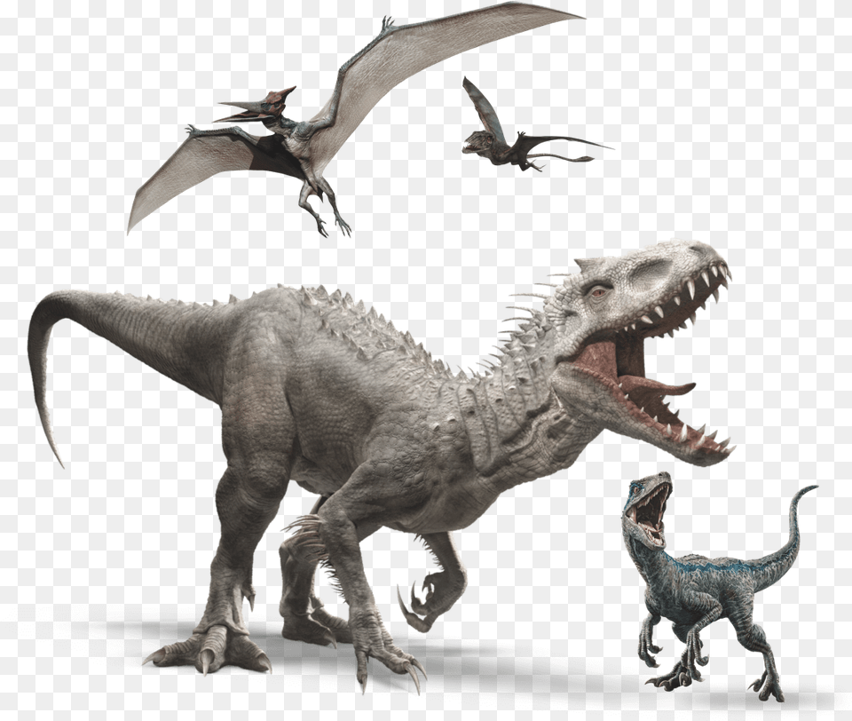 Indominus Rex Transparent Background, Animal, Dinosaur, Reptile, Bird Png Image