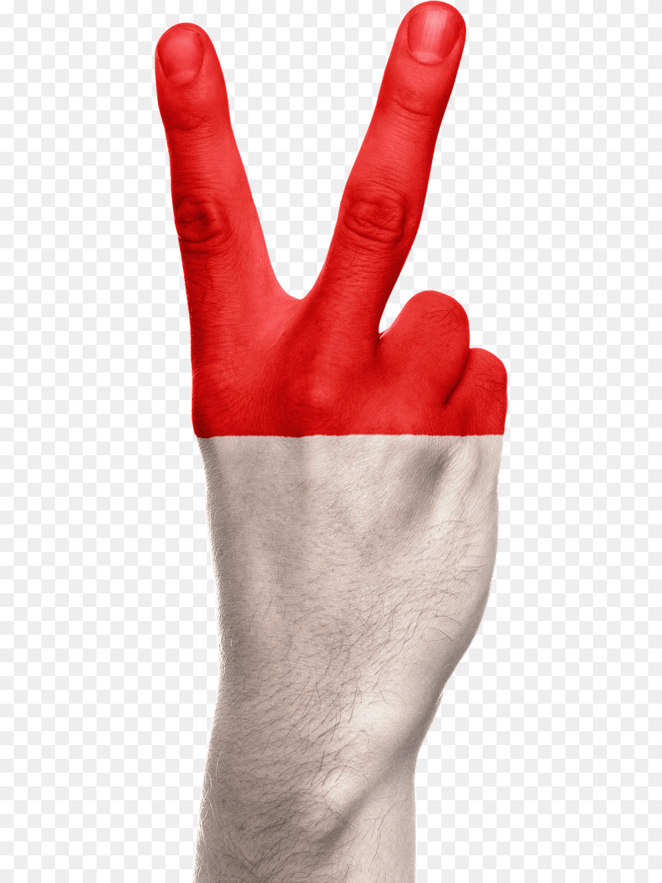 Indonesia Flag Hand Gambar Tangan Bendera Indonesia, Body Part, Clothing, Finger, Glove Png Image