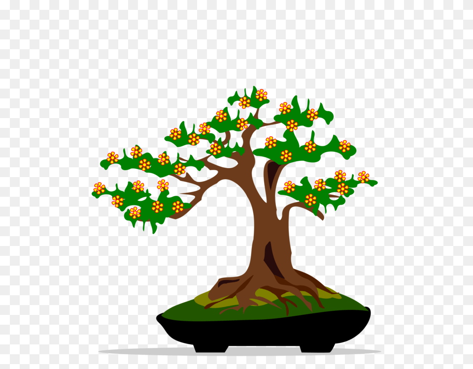 Indoor Bonsai Tree Houseplant, Plant, Potted Plant, Person, Art Free Transparent Png