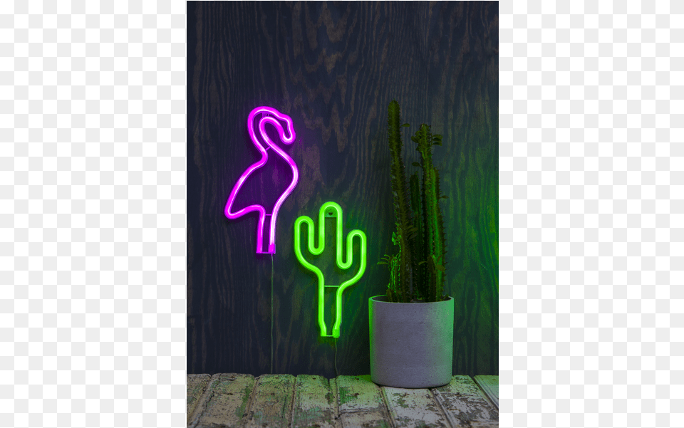 Indoor Decoration Neonlight Star Trading Led, Light, Neon, Plant Free Png Download