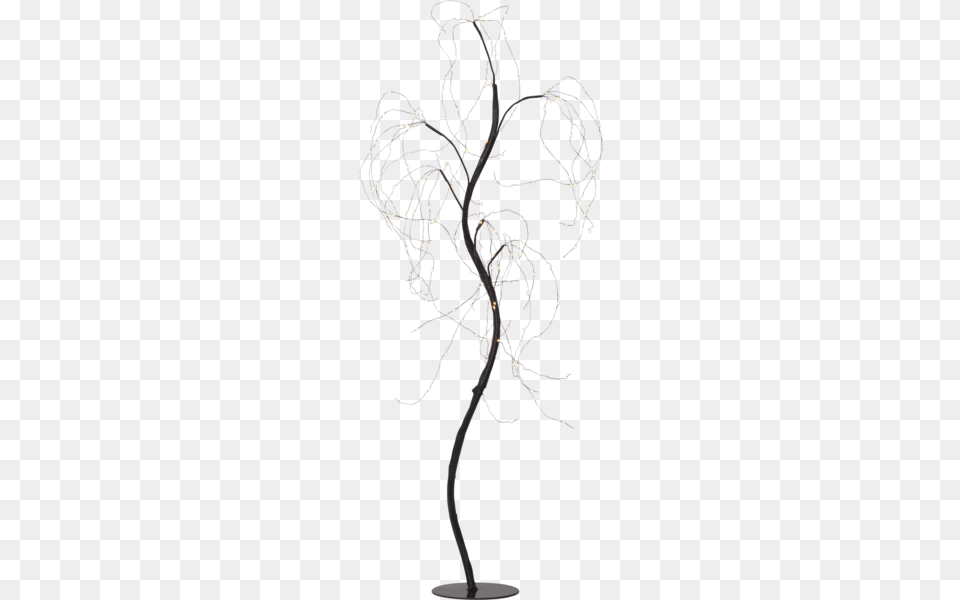 Indoor Decoration Willy, Lamp, Flower, Flower Arrangement, Plant Free Png Download