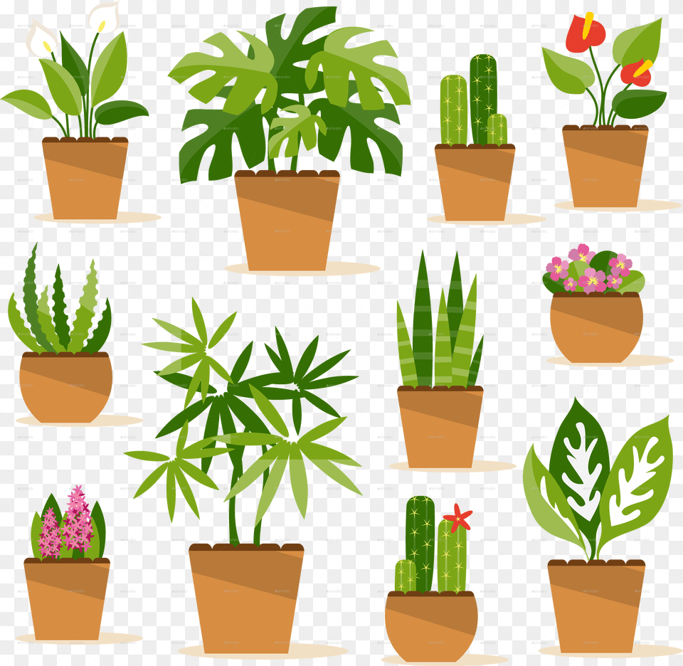 Indoor Potted Plant Potted Plant Clip Art, Jar, Planter, Potted Plant, Pottery Png Image