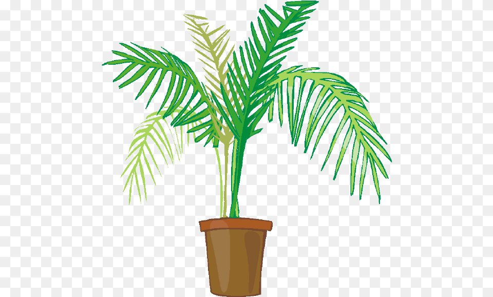 Indoor Potted Plants Palm Plant Clip Art, Leaf, Palm Tree, Tree, Potted Plant Free Transparent Png