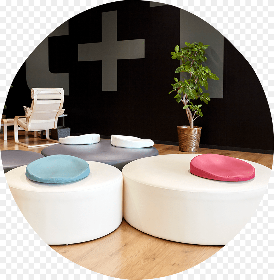 Indoor Situations Coffee Table, Furniture, Plant, Potted Plant, Chair Png