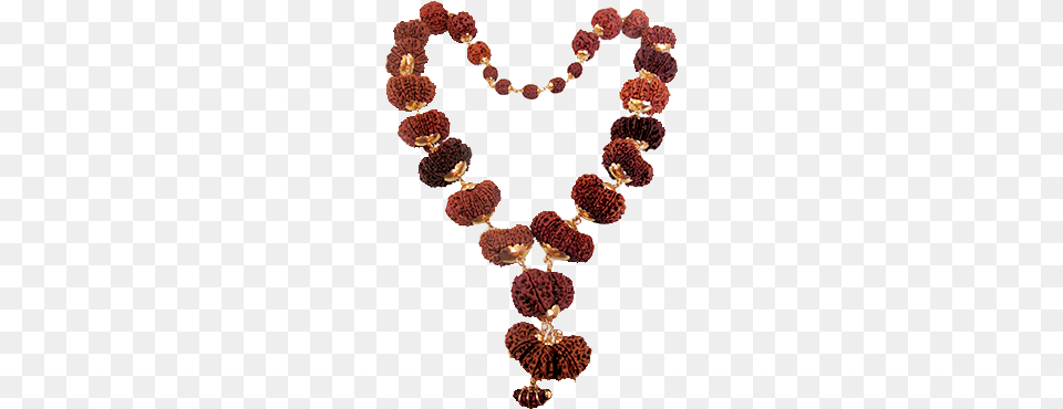 Indra Mala Rudraksha Collection 14 Mukhi Rudraksha Mala, Accessories, Bead, Bead Necklace, Jewelry Png Image