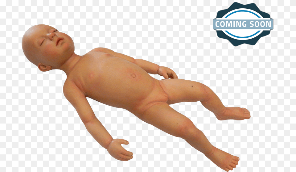 Infant Manikin For Medical Training Transparent Anatomical Manikin, Baby, Person, Face, Head Png