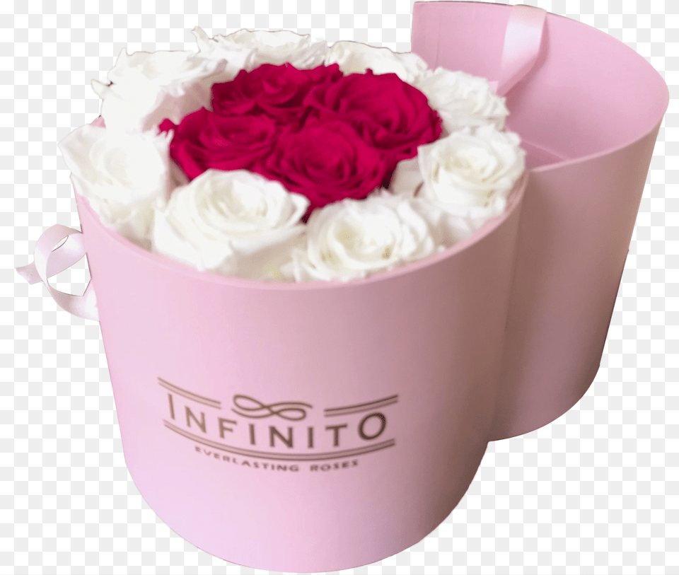 Infinito Sweety Box Box, Rose, Plant, Flower, Flower Arrangement Png Image