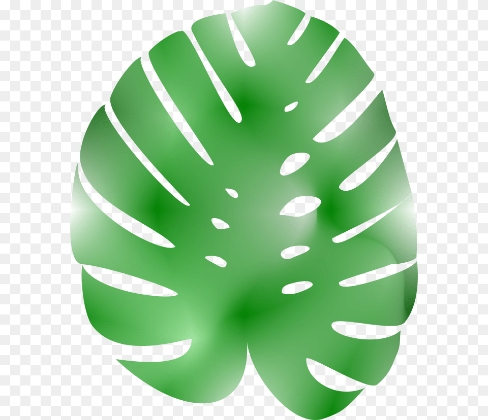 Inflatable, Plant, Leaf, Green, Ornament Png