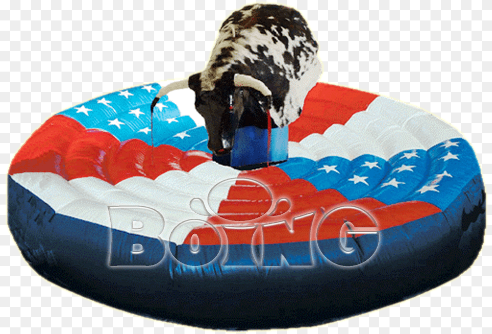 Inflatable, Water Png