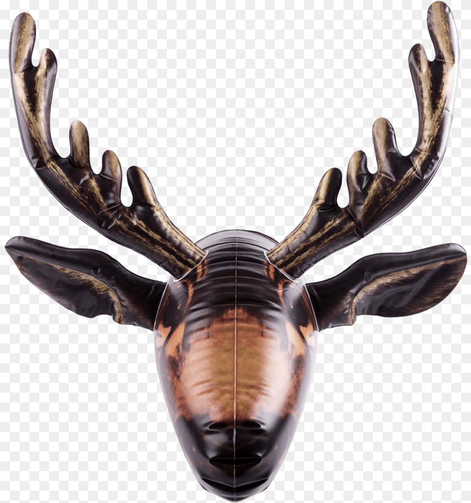 Inflatable Moose Head Facing Front Moose, Antler, Animal, Dinosaur, Reptile Png Image