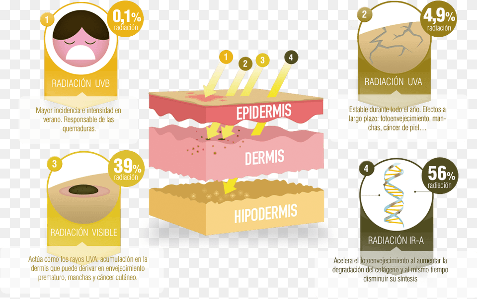 Infografia De La Radiacion Solar, Advertisement, Poster, Cream, Dessert Free Transparent Png